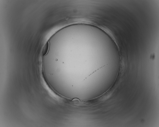 X0000111491391200907281216