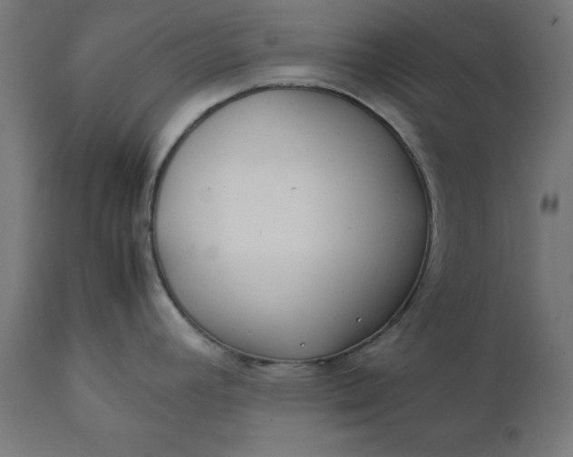 X0000111491392200907281216