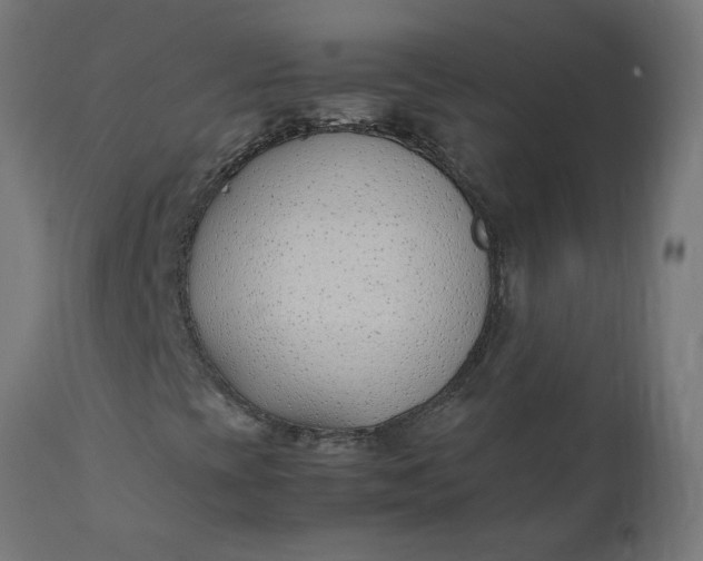 X0000111491393200907281215