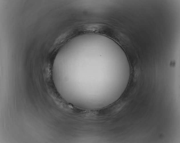 X0000111491394200907281215