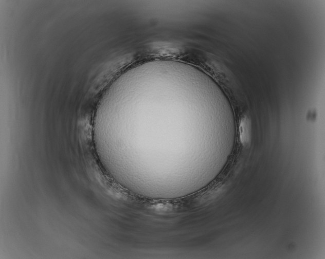 X0000111491395200907281215