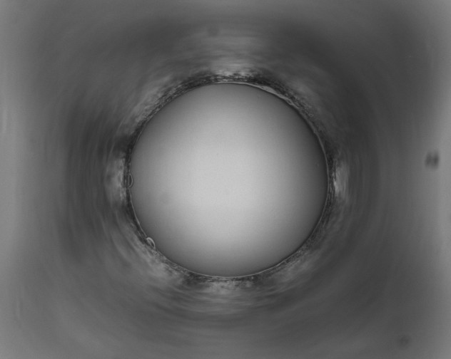 X0000111491396200907281215