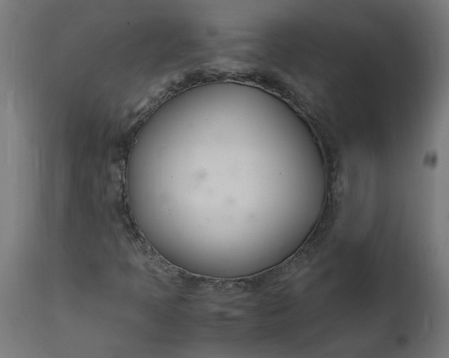 X0000111491397200907281215