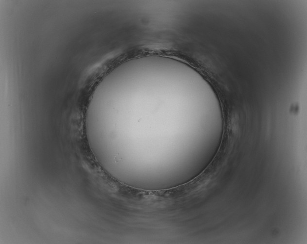 X0000111491398200907281215