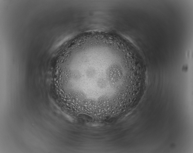 X0000111491399200907281215