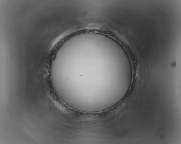 X0000111491400200907281215