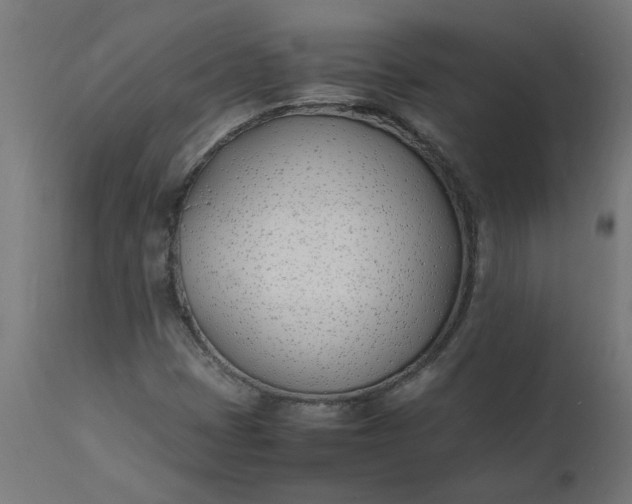 X0000111491401200907281215