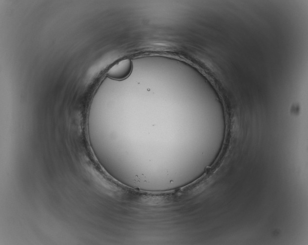 X0000111491402200907281215