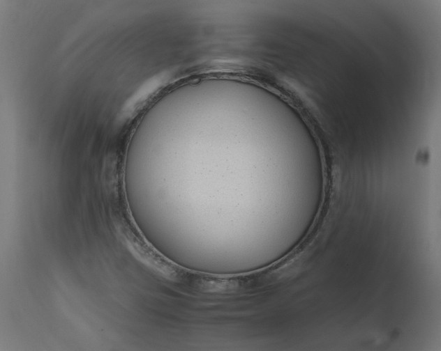 X0000111491403200907281215