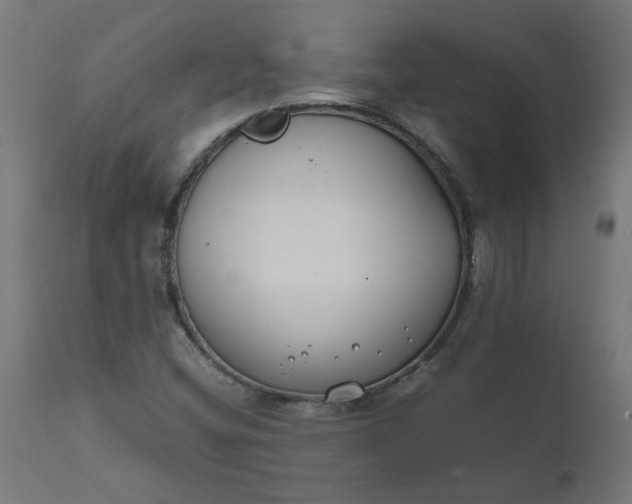 X0000111491404200907281215