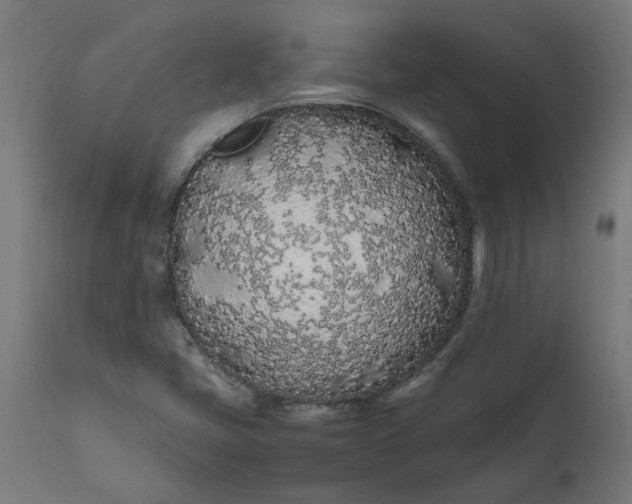 X0000111491405200907281215