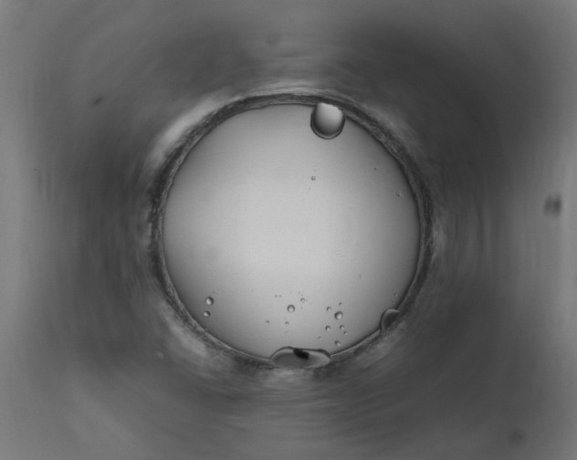 X0000111491406200907281215