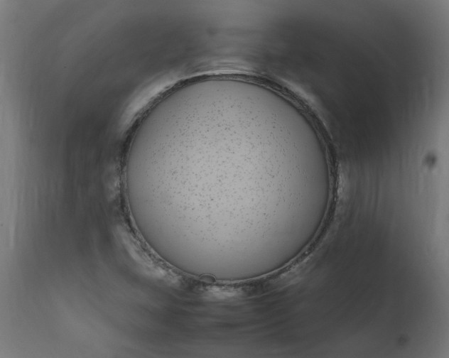 X0000111491407200907281215