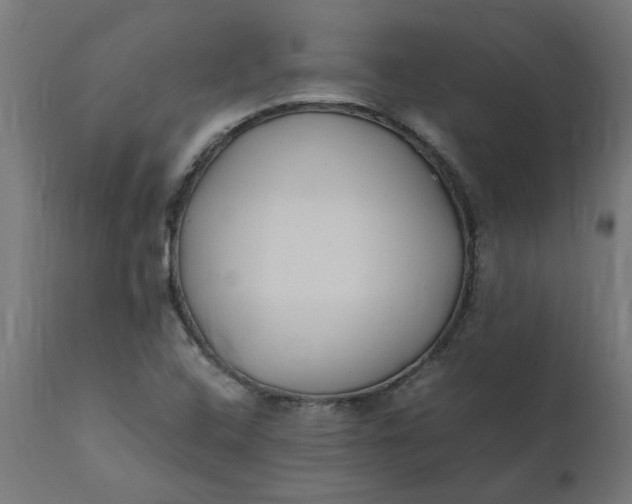 X0000111491408200907281215