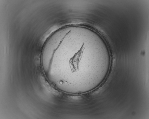 X0000111491409200907281216