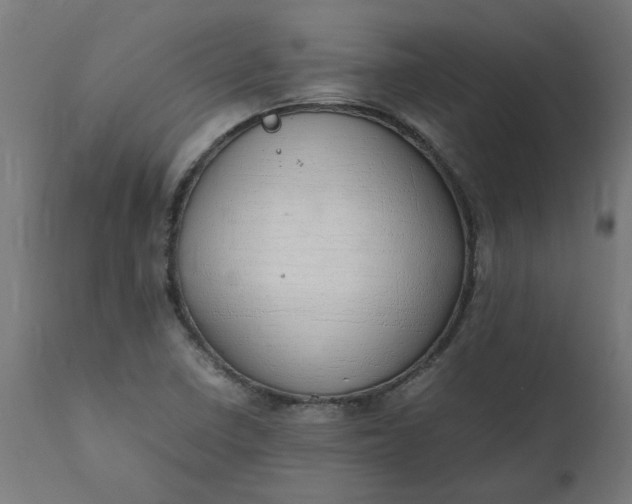 X0000111491410200907281216