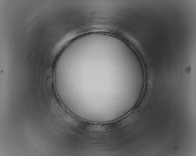 X0000111491411200907281216