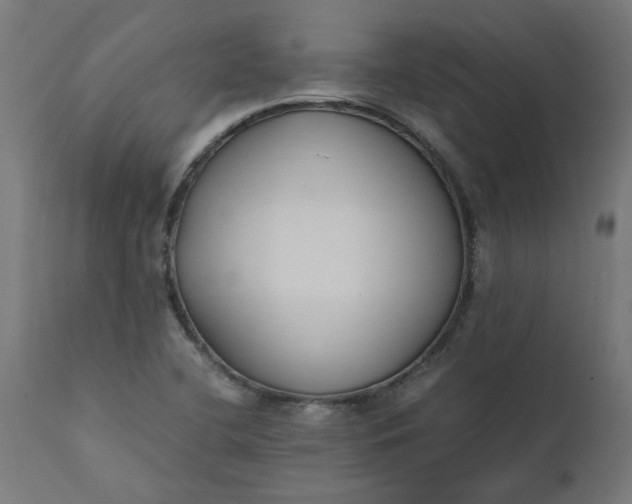 X0000111491412200907281216