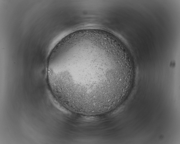 X0000111491413200907281216