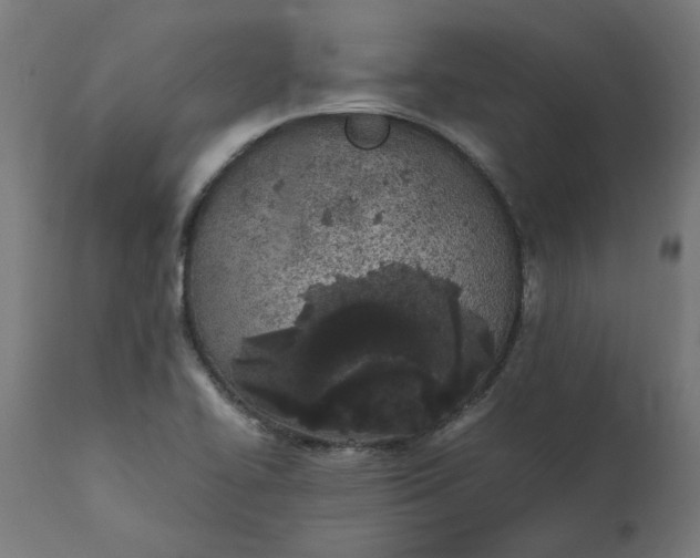 X0000111491414200907281216