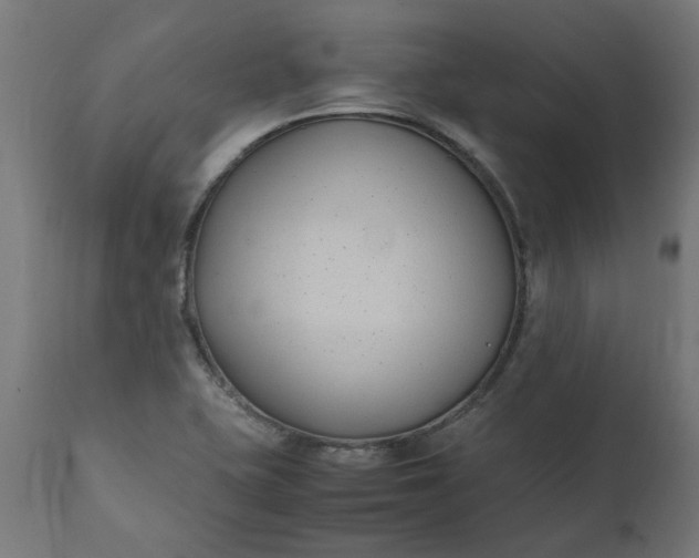 X0000111491415200907281216