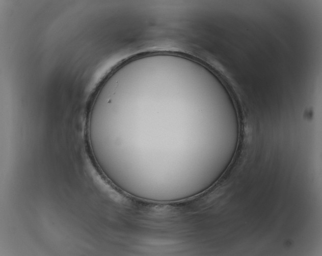 X0000111491416200907281216