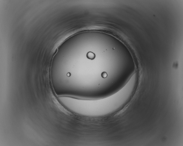 X0000111491417200907281216