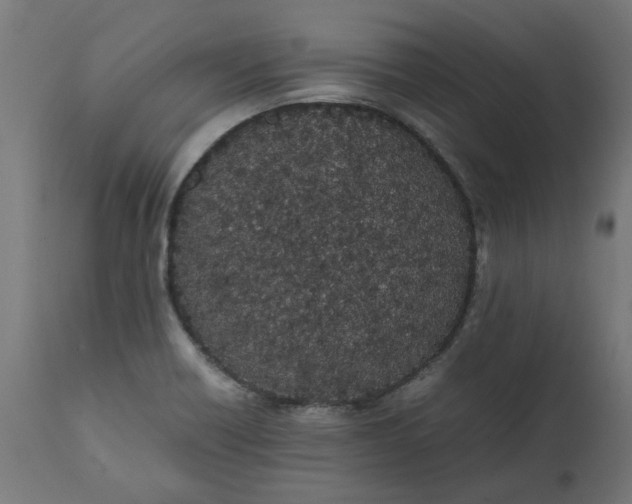 X0000111491418200907281216