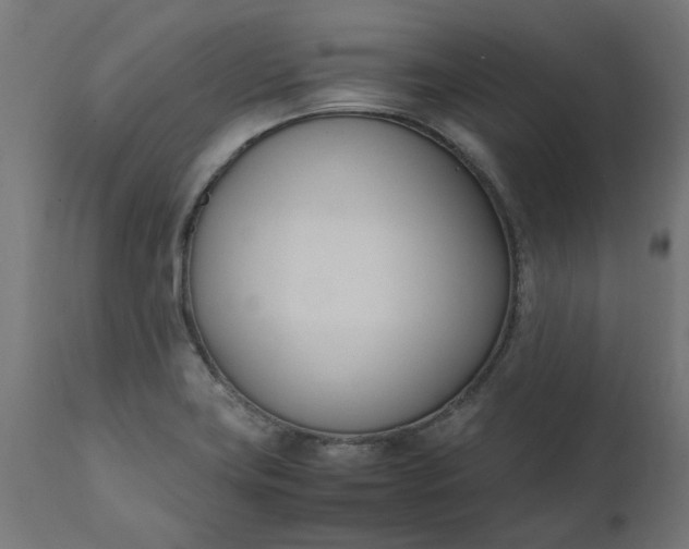 X0000111491419200907281216