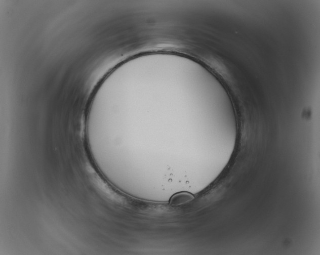 X0000111491420200907281216