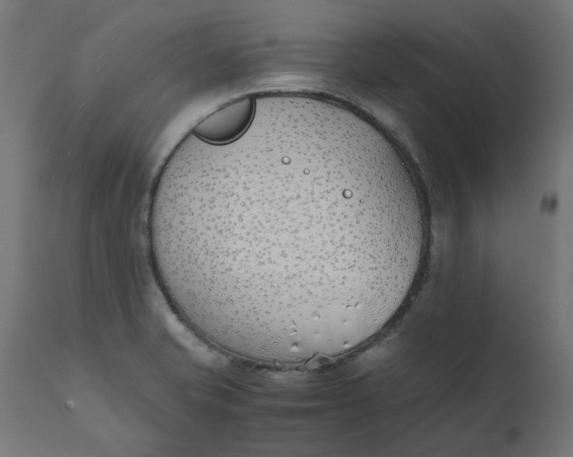 X0000111491421200907281216