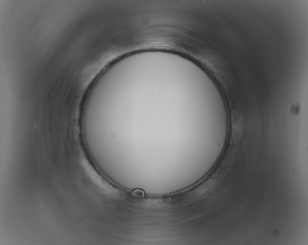 X0000111491422200907281216