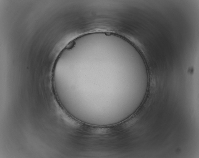 X0000111491423200907281216