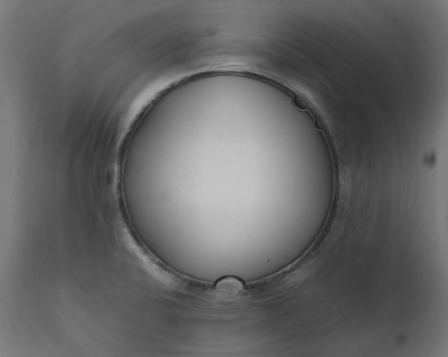 X0000111491424200907281216