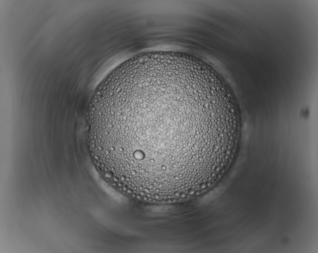 X0000111491425200907281216