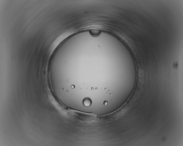 X0000111491426200907281216