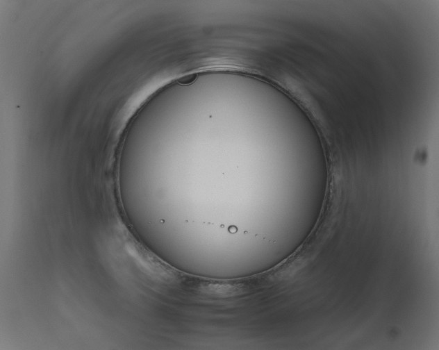 X0000111491427200907281216