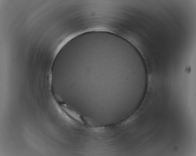 X0000111491428200907281216