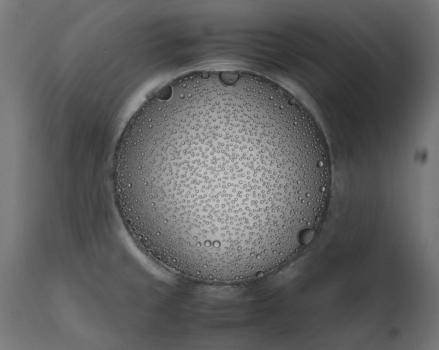 X0000111491429200907281216