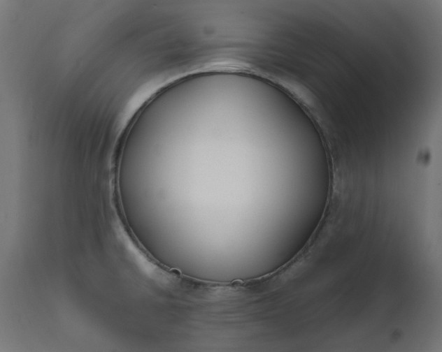 X0000111491430200907281216