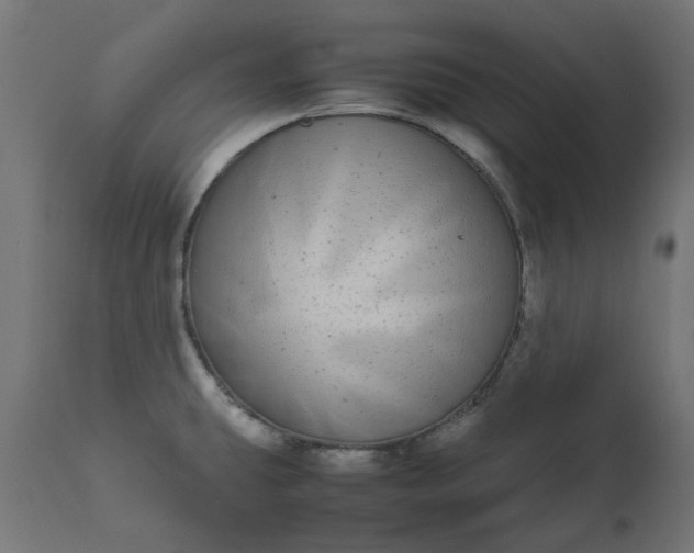 X0000111491431200907281216