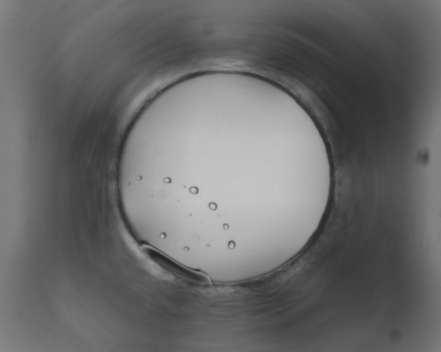 X0000111491432200907281216