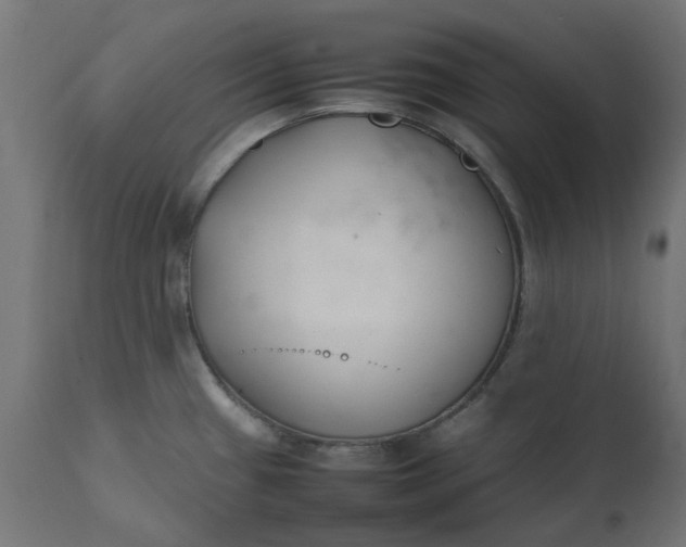 X0000111491433200907281216