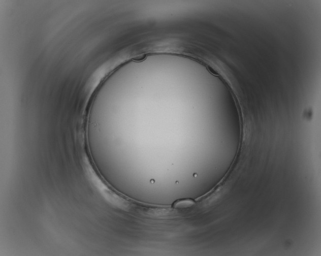 X0000111491434200907281216