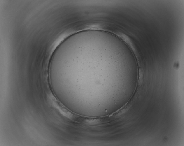 X0000111491435200907281216