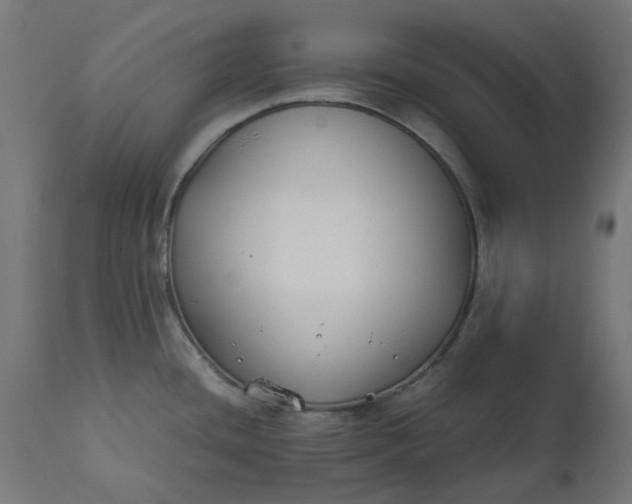 X0000111491436200907281216