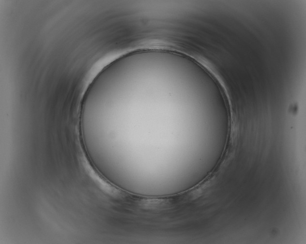 X0000111491437200907281216