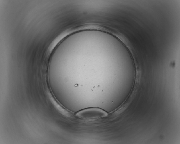 X0000111491438200907281216