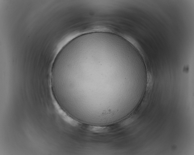 X0000111491439200907281216