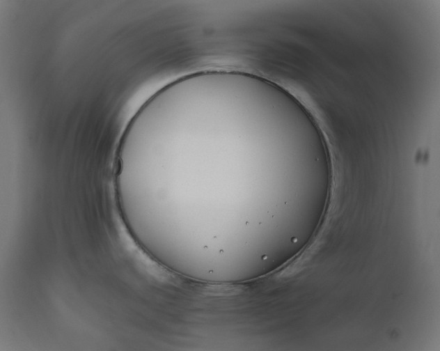 X0000111491440200907281216